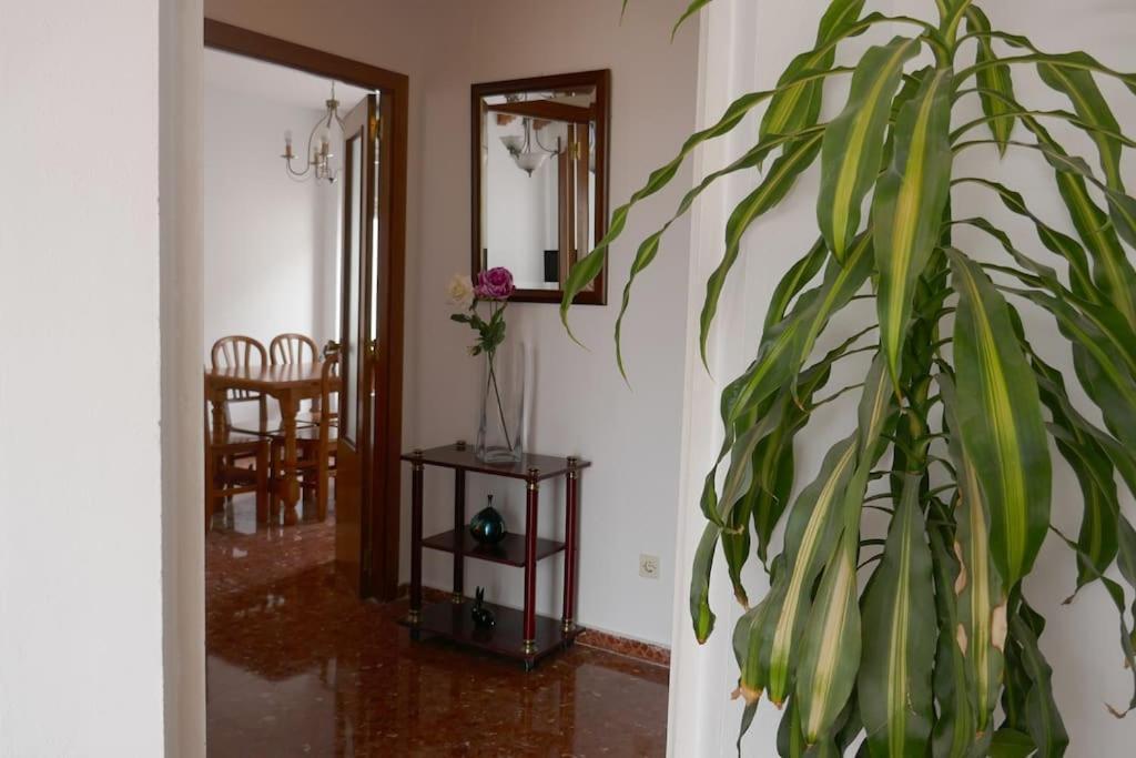 Casa Soleada En Calle Tranquila Севиля Екстериор снимка